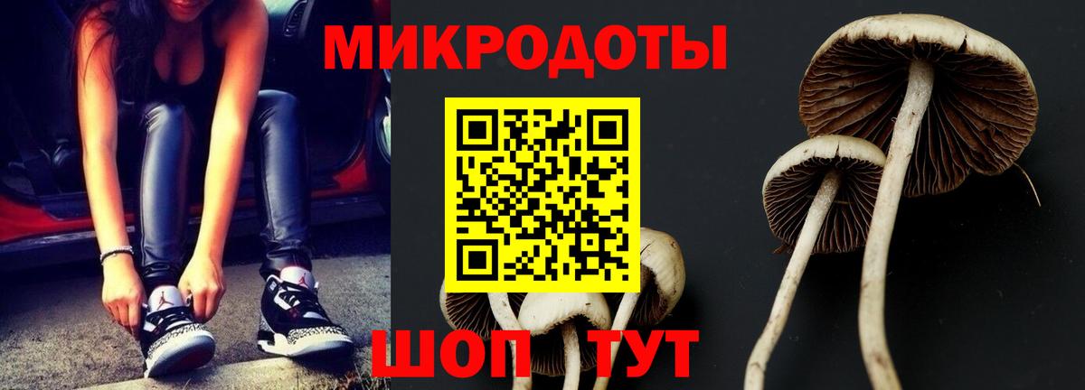 Галлюциногенные грибы мицелий  Вход с VPN  Пушкино 